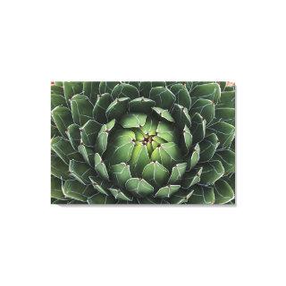 Agave victoriae-reginae Canvas Print