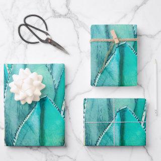 Agave  Sheets
