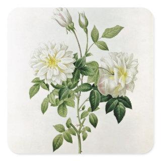 Aime Vibere  engraved by Eustache Hyacinthe Square Sticker