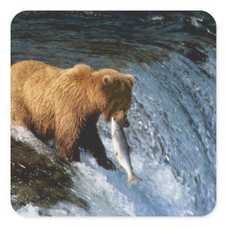 Alaskan Brown Bear Catching Salmon at Brooks Square Sticker