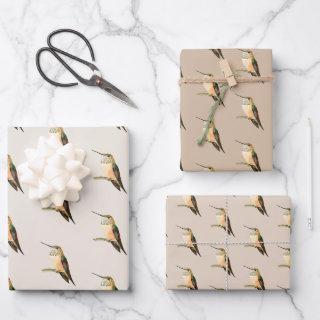 Allen's Hummingbird  Sheets