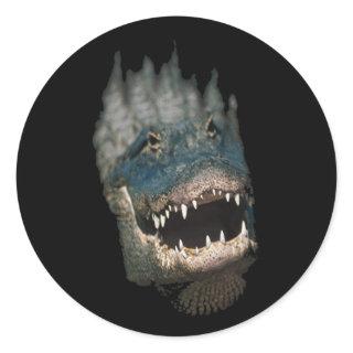 Alligator Head Shot-Huge reptiles Classic Round Sticker