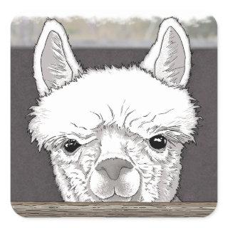 Alpaca Portrait Square Sticker