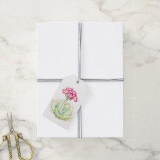 Alpine primrose watercolour flower fine art tags