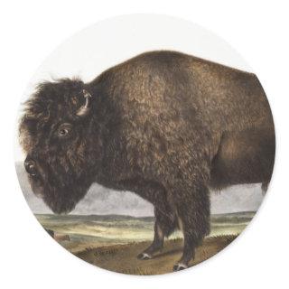 American Bison (Bos Americanus) Illustration Classic Round Sticker