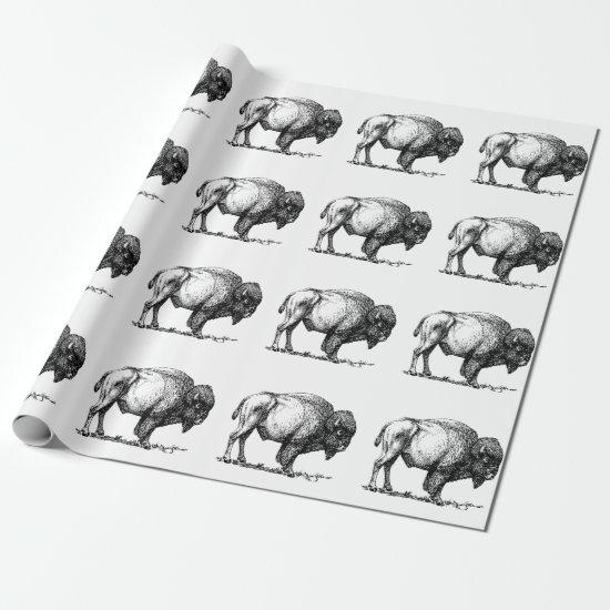 American Buffalo Bison