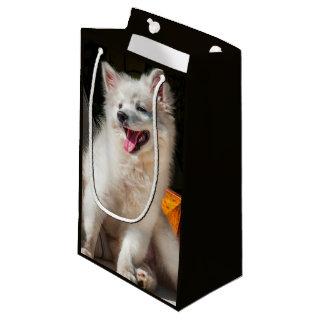 American Eskimo puppy sitting on a lawn chair Small Gift Bag