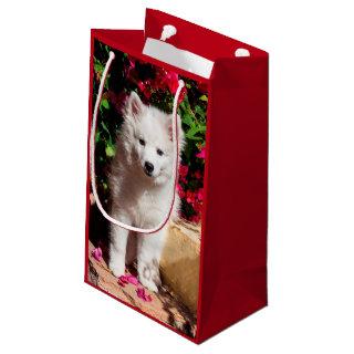 American Eskimo puppy sitting on garden stairs Small Gift Bag