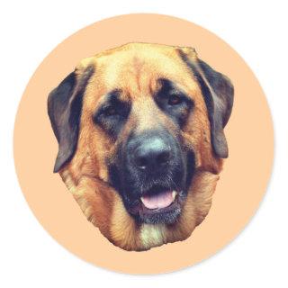 American Mastiff Dog  Classic Round Sticker