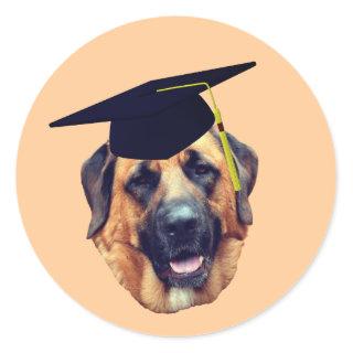 American  Mastiff Dog Graduation Cap Classic Round Sticker