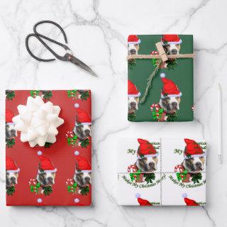 American Pit Bull Terrier Christmas  Sheets