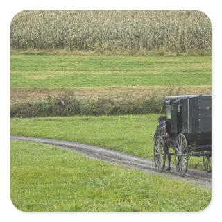 Amish buggy on farm lane, Northeastern Ohio, Square Sticker
