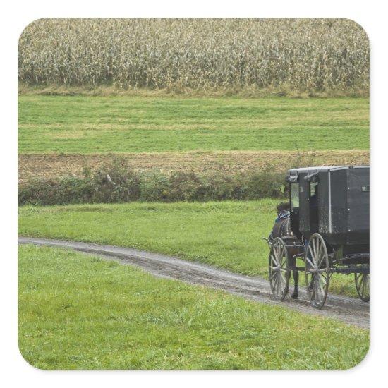 Amish buggy on farm lane, Northeastern Ohio, Square Sticker
