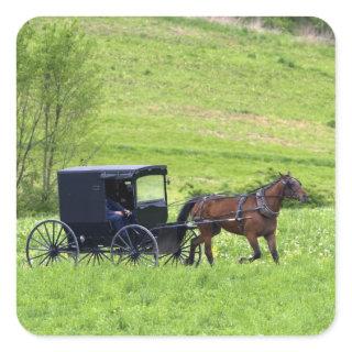 Amish horse and buggy near Berlin, Ohio. Square Sticker