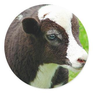 Amy's Lamb Oil Paint Effect Classic Round Sticker