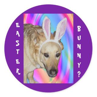 An Easter Bunny? Classic Round Sticker