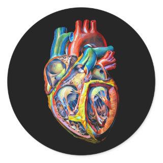 anatomy abstract art colorful human heart classic round sticker