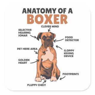 Anatomy Of A Boxer Sweet Dog Puppy Square Sticker