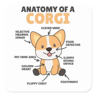 Anatomy Of A Corgi Cute Dogs Funny Puppy Square Sticker