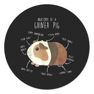 Anatomy of a Guinea Pig, Funny Pet Animal Classic Round Sticker