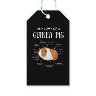 Anatomy Of A Guinea Pig Gift Tags