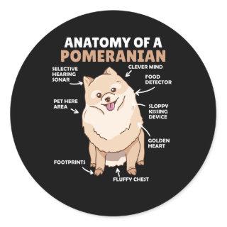 Anatomy Of A Pomeranian Cute Dog Puppy Classic Round Sticker