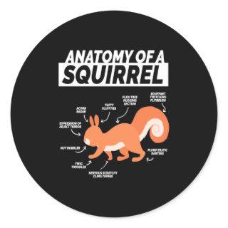 Anatomy Of A Squirrel Classic Round Sticker