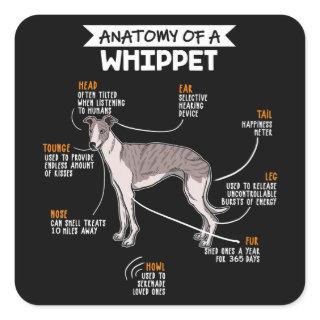 anatomy of a whippet dog funny dog lover gift square sticker