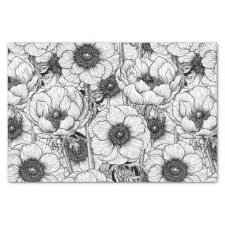 Anemone garden in black and white tissue paper
