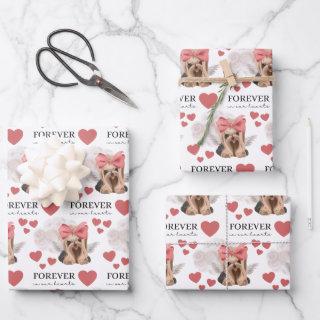 Angel Yorkie  Flat Sheet Set of 3