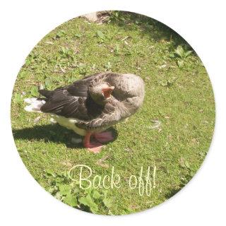 Angry Goose Back Off Stickers