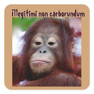 Animal Faces: Illegitimi non carborundum Square Sticker
