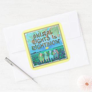 Animal Rights is Right|Now Stickers