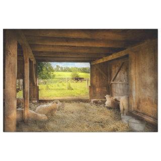 Animal - Sheep - Counting sheep Tissue Paper