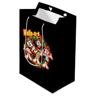 Animaniacs | Hello-o-o Retro Equalizer Graphic Medium Gift Bag
