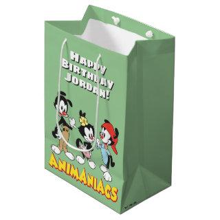 Animaniacs | Yakko, Dot, and Wakko Standing Medium Gift Bag