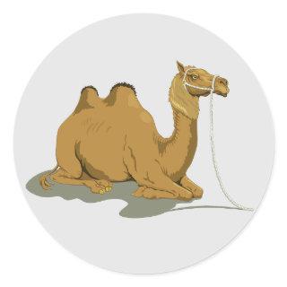 Animated Camel round sticker