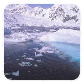 Antarctica. Expedition through icescapes Square Sticker