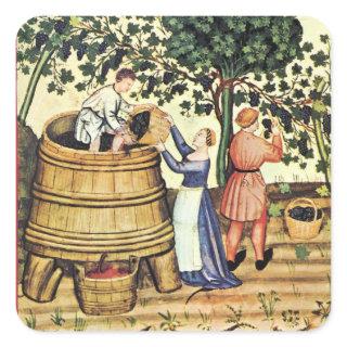 ANTIQUE GRAPE VINEYARD HARVEST SQUARE STICKER