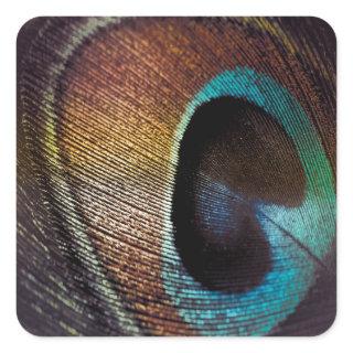 Antique Hues Peacock Feather Eye Square Sticker