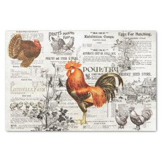 Antique Vintage Rooster Horticulture Ads Ephemera Tissue Paper