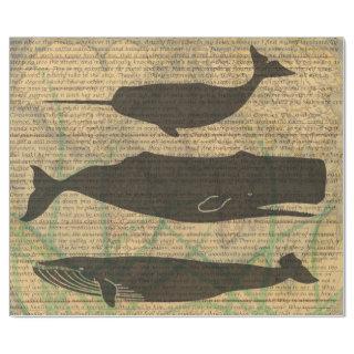 Antique Whale Nautical Sea Life