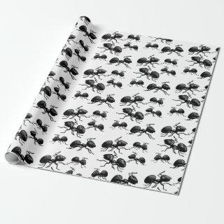 Ants