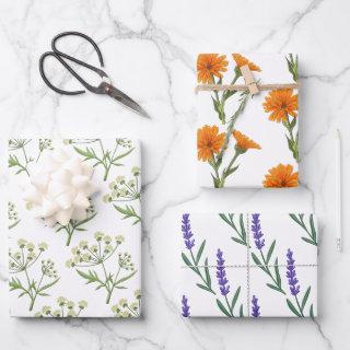 Apothecary Herb  Flat Sheet Set of 3