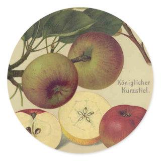 Apples Botanical Vintage Fruit Illustration Classic Round Sticker