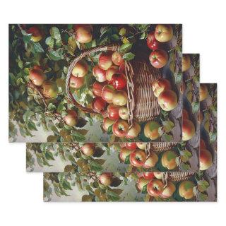Apples in a Basket Still Life Painting Decoupage  Sheets