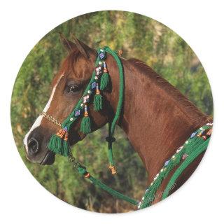 Arab Horse Headshot with Bridle Classic Round Sticker