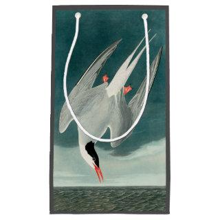 Arctic Tern Audubon Bird Wildlife Painting Small Gift Bag