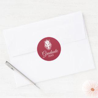 Arkansas Razorbacks Mascot Logo Classic Round Sticker