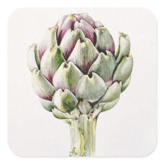 Artichoke Study 1993 Square Sticker
